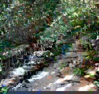 Fraser Island 4WD Tour from Rainbow Beach - Accommodation Whitsundays