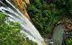 Rainforest & Waterfalls Extravaganza - thumb 1