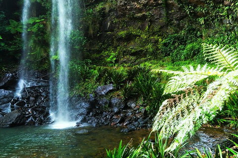 Private Tour - Rainforest & Waterfalls Extravaganza - Accommodation Whitsundays 1