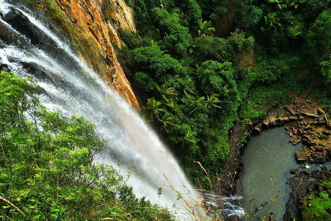 Private Tour - Rainforest & Waterfalls Extravaganza - Accommodation Whitsundays 2