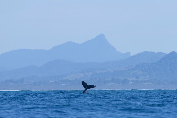 Byron Bay NSW Accommodation Whitsundays
