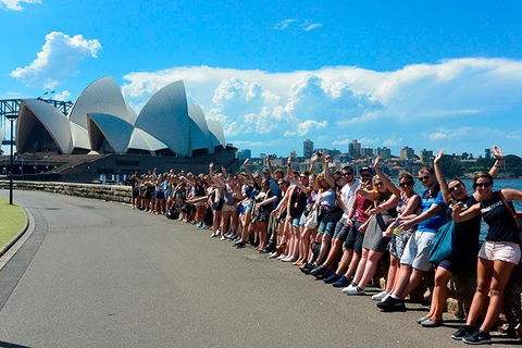 7-Day Tour In Sydney With Airport Pickup - Accommodation Whitsundays 3