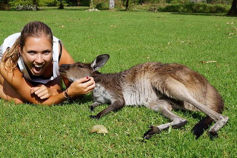 7-Day Tour In Sydney With Airport Pickup - Accommodation Whitsundays 4
