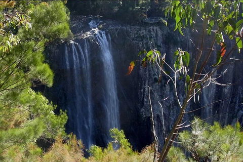 Byron Bay Hinterland Tour Including Rainforest Walk To Minyon Falls - Accommodation Whitsundays 0