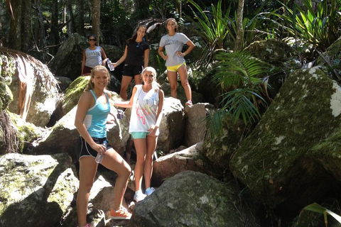 Byron Bay Hinterland Tour Including Rainforest Walk To Minyon Falls - Accommodation Whitsundays 3