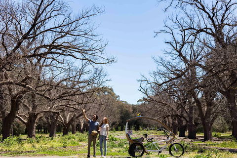 Adelaide 90-Minute Pedicab Tour: Scenic Green & River Experience - Accommodation Whitsundays 1