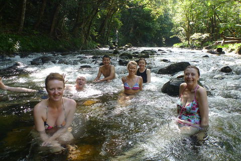 Daintree Rainforest, Cape Tribulation, Mossman Gorge Small-Group Day Tour - Accommodation Whitsundays 0