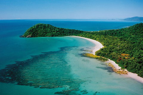 Daintree Rainforest, Cape Tribulation, Mossman Gorge Small-Group Day Tour - Accommodation Whitsundays 4