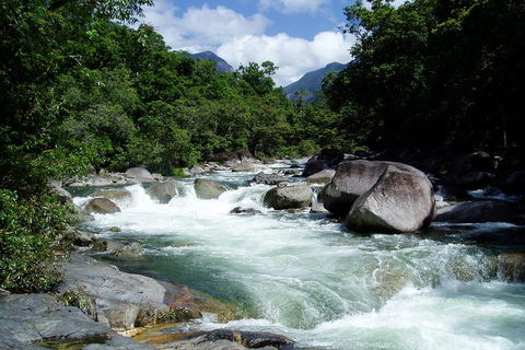 Daintree Rainforest, Cape Tribulation, Mossman Gorge Small-Group Day Tour - Accommodation Whitsundays 5