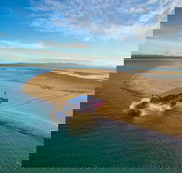 Town of 1770 Afternoon Cruise - Accommodation Whitsundays