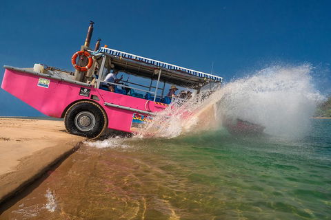 Town Of 1770 Afternoon Cruise - Accommodation Whitsundays 2