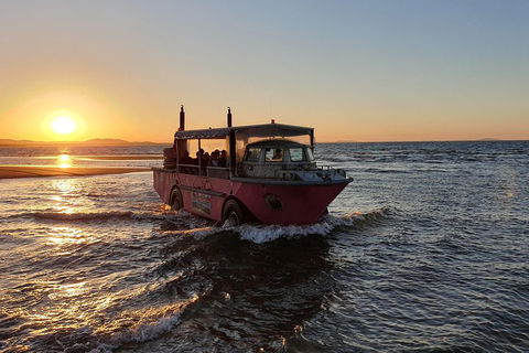 Town Of 1770 Afternoon Cruise - Accommodation Whitsundays 3