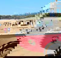 1770 Coastline Tour by LARC Amphibious Vehicle Including Picnic Lunch - Accommodation Whitsundays