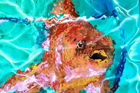 Discover Brisbane - South Bank - Accommodation Whitsundays 4