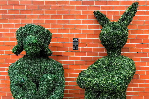 Discover Brisbane - South Bank - Accommodation Whitsundays 5