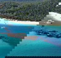 All Inclusive Tangalooma Wrecks Cruise Tour From Gold Coast - Accommodation Whitsundays