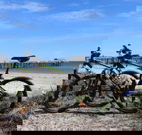 Adelaide City to Sea Bike Tour - Accommodation Whitsundays