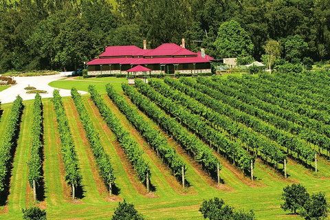 O'Reilly's & Lamington National Park From Gold Coast - Accommodation Whitsundays 2