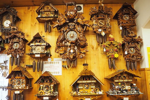 O'Reilly's & Lamington National Park From Gold Coast - Accommodation Whitsundays 5