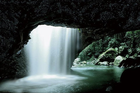 Natural Bridge Glow Worm Night Tour From Gold Coast - Accommodation Whitsundays 0