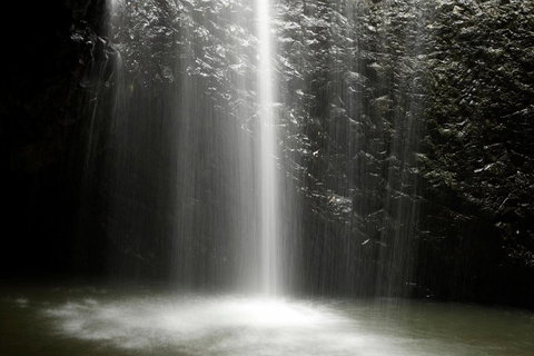 Natural Bridge Glow Worm Night Tour From Gold Coast - Accommodation Whitsundays 2
