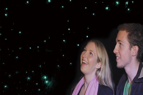 Natural Bridge Glow Worm Night Tour From Gold Coast - Accommodation Whitsundays 3