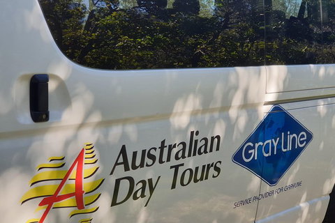 Natural Bridge Glow Worm Night Tour From Gold Coast - Accommodation Whitsundays 5