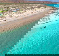 Ningaloo in a Day - Full Day Hike and Snorkel Tour with Lunch - Accommodation Whitsundays