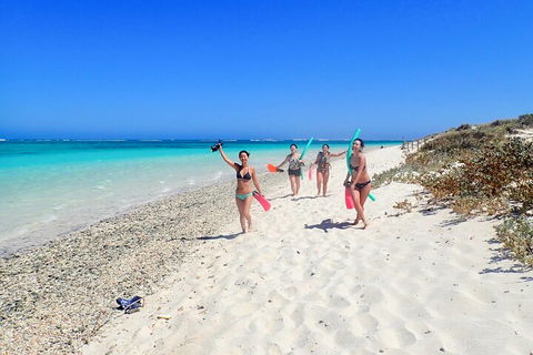 Ningaloo In A Day - Full Day Hike And Snorkel Tour With Lunch - Accommodation Whitsundays 1