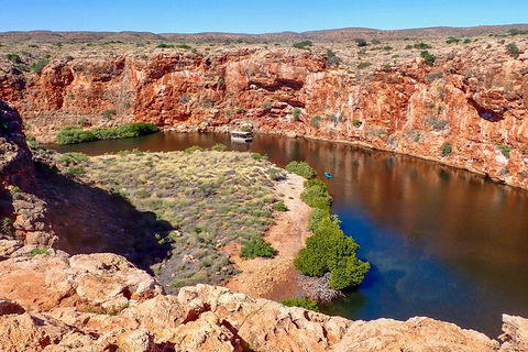 Ningaloo In A Day - Full Day Hike And Snorkel Tour With Lunch - Accommodation Whitsundays 2
