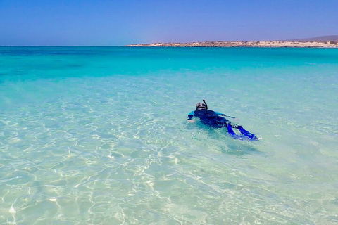 Ningaloo In A Day - Full Day Hike And Snorkel Tour With Lunch - Accommodation Whitsundays 4