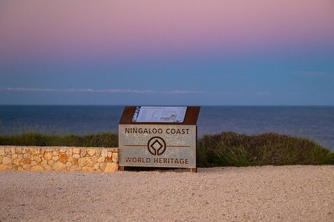 Ningaloo In A Day - Full Day Hike And Snorkel Tour With Lunch - Accommodation Whitsundays 5