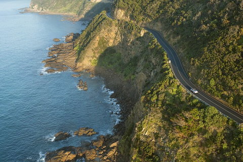 LGBT+ Friendly 2 Day Private Tour Great Ocean Road + Phillip Island - Accommodation Whitsundays 4