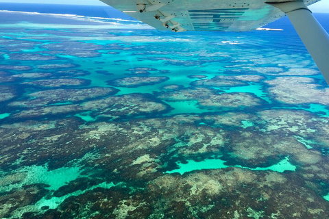 Shipwreck Special Full Day Tour Of The Abrolhos Islands - Accommodation Whitsundays 1