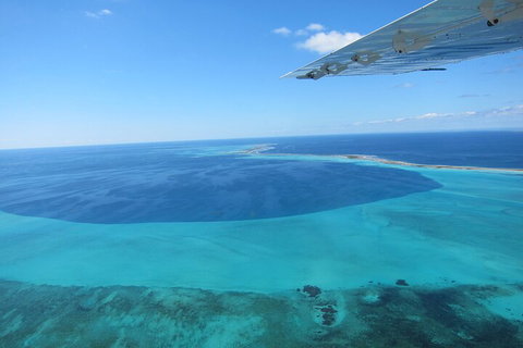 Shipwreck Special Full Day Tour Of The Abrolhos Islands - Accommodation Whitsundays 2