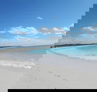 Shipwreck Special Nature Tour/Half Day Tour - Accommodation Whitsundays