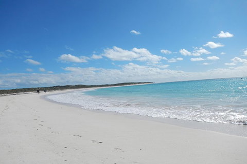 Shipwreck Special Nature Tour/Half Day Tour - Accommodation Whitsundays 0