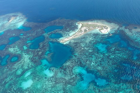 Shipwreck Special Nature Tour/Half Day Tour - Accommodation Whitsundays 5