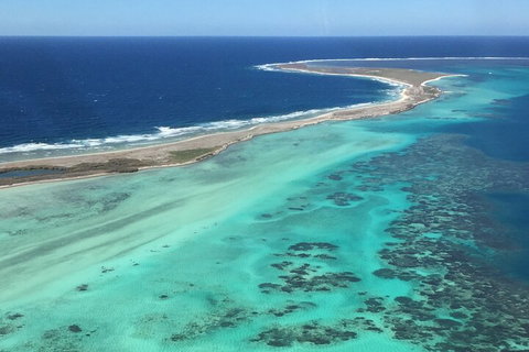 Pink Lake + Abrolhos Islands Nature Tour - Accommodation Whitsundays 2