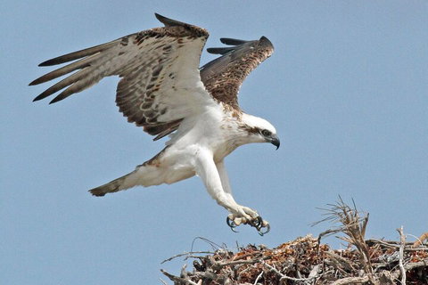 Pink Lake + Abrolhos Islands Nature Tour - Accommodation Whitsundays 3