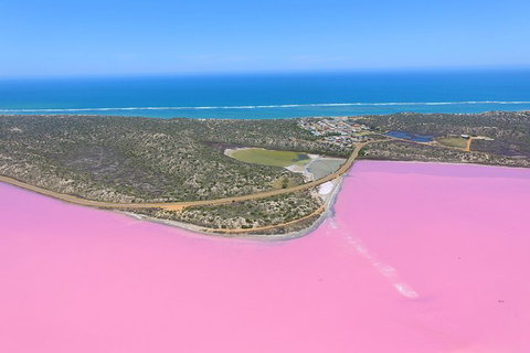 Pink Lake + Abrolhos Islands Nature Tour - Accommodation Whitsundays 4