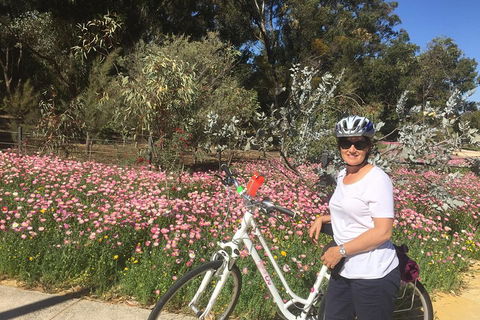 Perth Bike Tour - Beautiful Matilda Bay And Kings Park - Accommodation Whitsundays 1