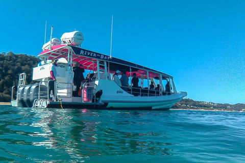 Best Of Moreton Bay Cruise - Accommodation Whitsundays 0