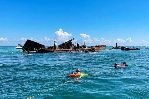 Best Of Moreton Bay Cruise - Accommodation Whitsundays 5