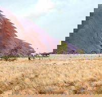 Uluru Sunrise and Guided Base Walk - Accommodation Whitsundays