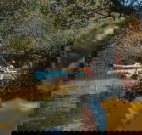 Kayak Tour in Adelaide Dolphin Sanctuary - Accommodation Whitsundays