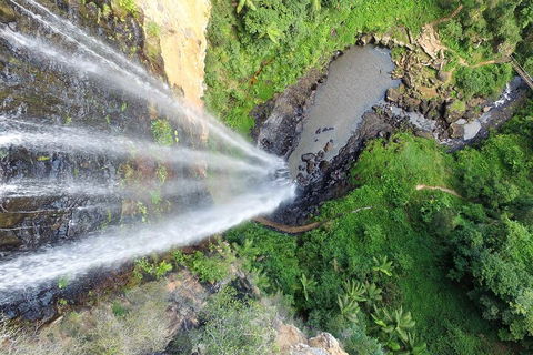Natural Bridge & Springbrook Waterfalls Tour + Hot Air Balloon With Breakfast - Accommodation Whitsundays 1