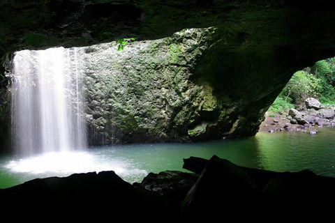 Natural Bridge & Springbrook Waterfalls Tour + Hot Air Balloon With Breakfast - Accommodation Whitsundays 2