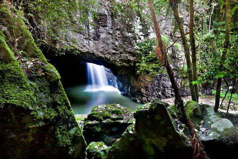 Natural Bridge & Springbrook Waterfalls Tour + Hot Air Balloon With Breakfast - Accommodation Whitsundays 4