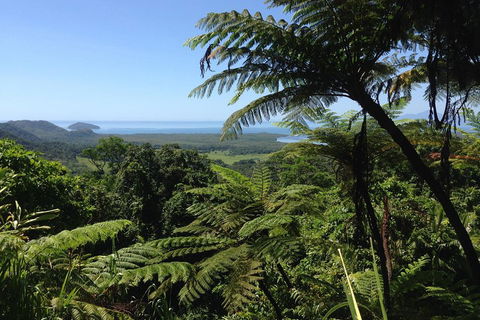 Daintree And Cape Tribulation Full Day Guided Tour - Accommodation Whitsundays 2